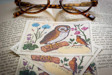 Botanical Owl Bookplate Sticker