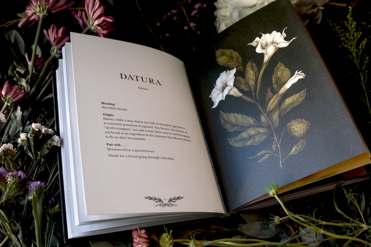 Floriography: Posies and Illustration with Jessica Roux