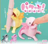 Axolotl Holder Blind Box