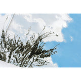 Hobonichi Techo 2026 Cousin A5 Book & Cover - Kyohei Sakaguchi: Field Sky [ENG/A5/Jan Start]