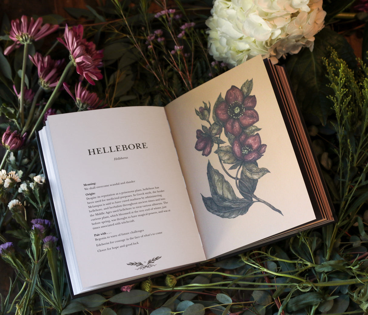 Floriography: Posies and Illustration with Jessica Roux