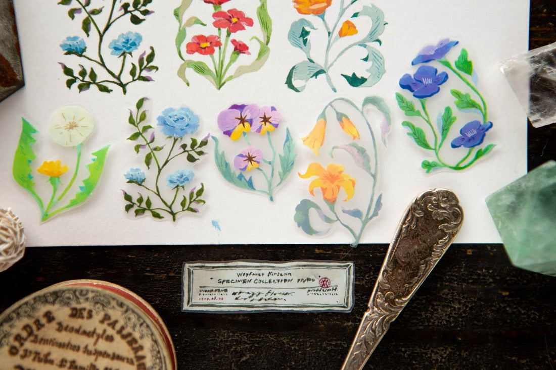 OURS Studio The Wayfarer's Journal PET Tape