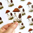 jb0xtchi Vinyl Sticker - Mushroom

The mushroom vinyl sticker was illustrated by jb0xtchi (Jessica Ng). jb0xtchi creates stationary and small trinkets from whimsical ideas in the form of painting using ink, watercolour, and gouache.