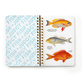 Brass Monkey Judgy Fish Sticker Book