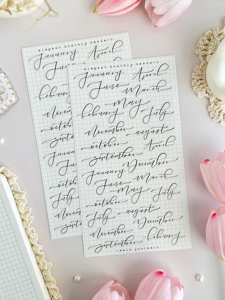 leelajournals Monthly &amp; Weekly Headers Sticker Sheet - 3pc set

♡ 3pc sticker sheet set - 3 large


♡ pet matte (clear)

♡ dimensions estimated: L: 4x7 (in) | S: 4x3 (in)