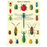 Juego de minicuaderno de insectos y bichos, paquete de 3 Cavallini &amp; Co. 