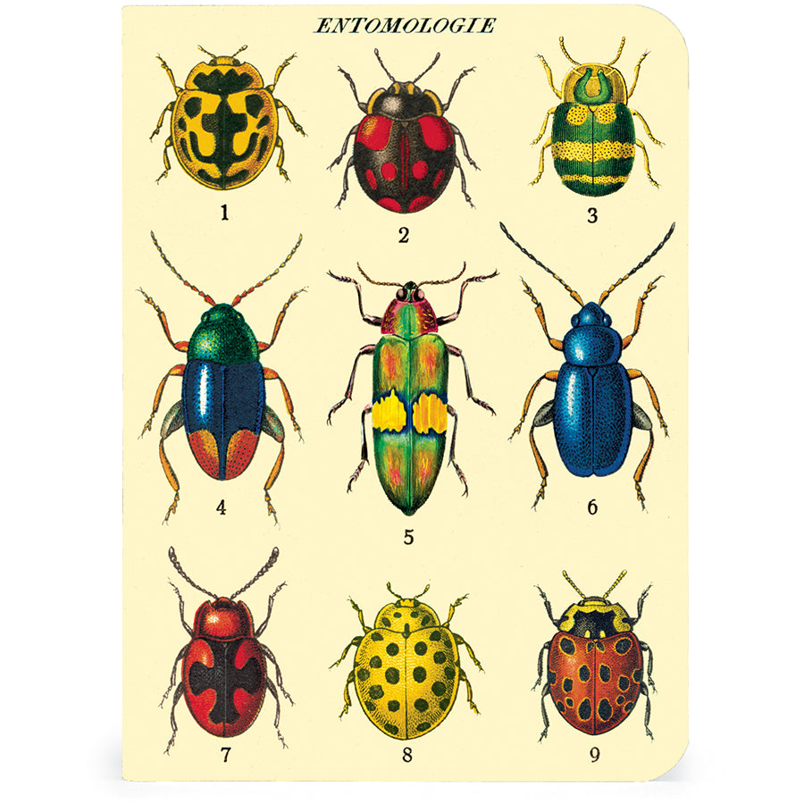 Juego de minicuaderno de insectos y bichos, paquete de 3 Cavallini &amp; Co. 