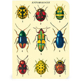 Juego de minicuaderno de insectos y bichos, paquete de 3 Cavallini &amp; Co. 