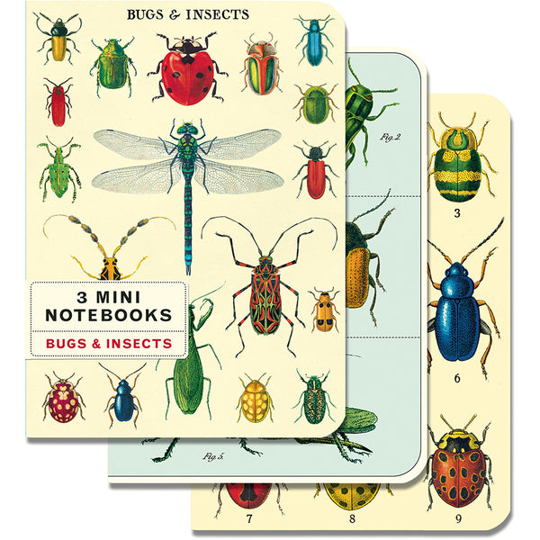 Bugs & Insects Mini Notebook Set 3/Pkg Cavallini & Co.