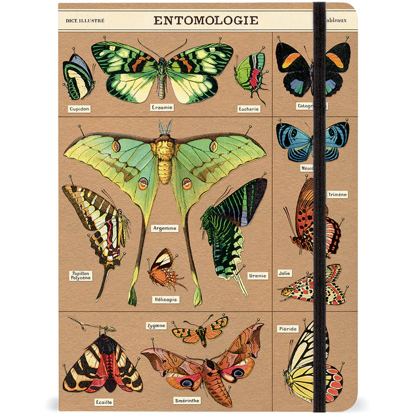 Cavallini & Co. Large Notebook - Entomology