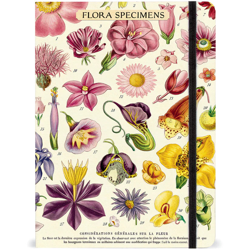 Cavallini & Co. Large Notebook - Flora Specimens