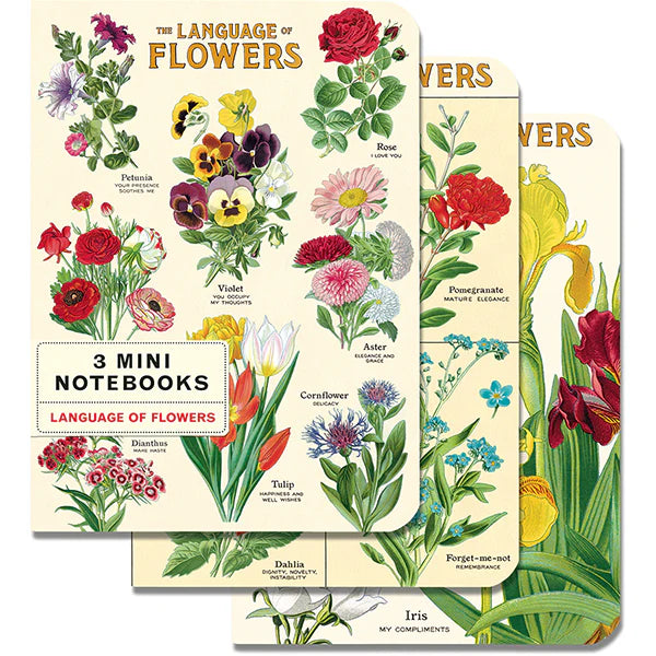 Cavallini & Co. 3 Mini Notebooks - Language of Flowers