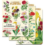 Cavallini & Co. 3 Mini Notebooks - Language of Flowers