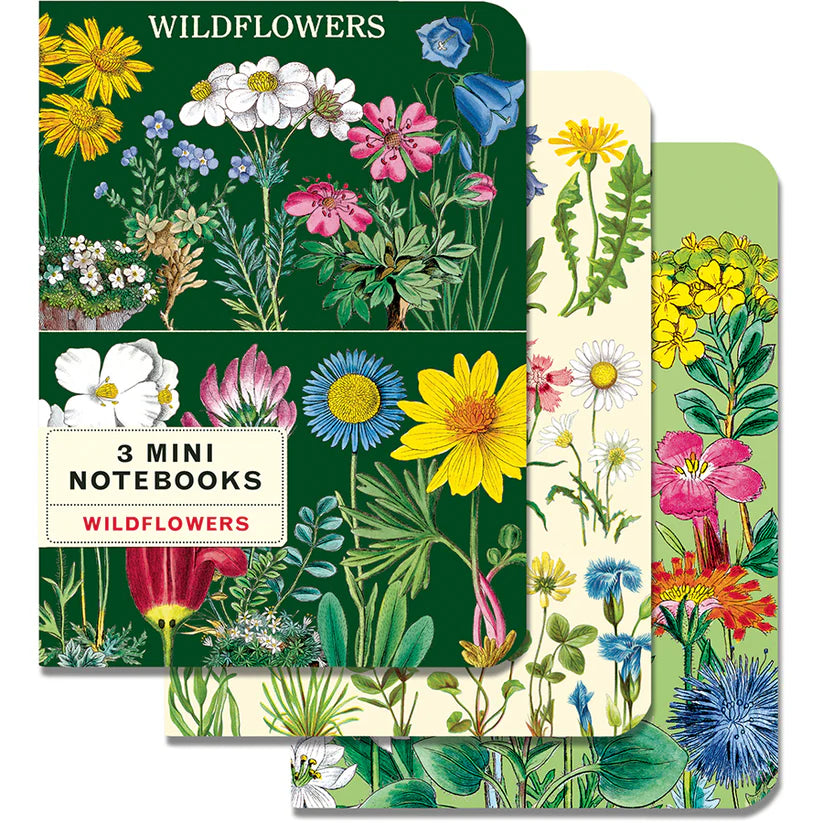 Cavallini & Co. 3 Mini Notebooks - Wildflowers 2 – Little Craft Place