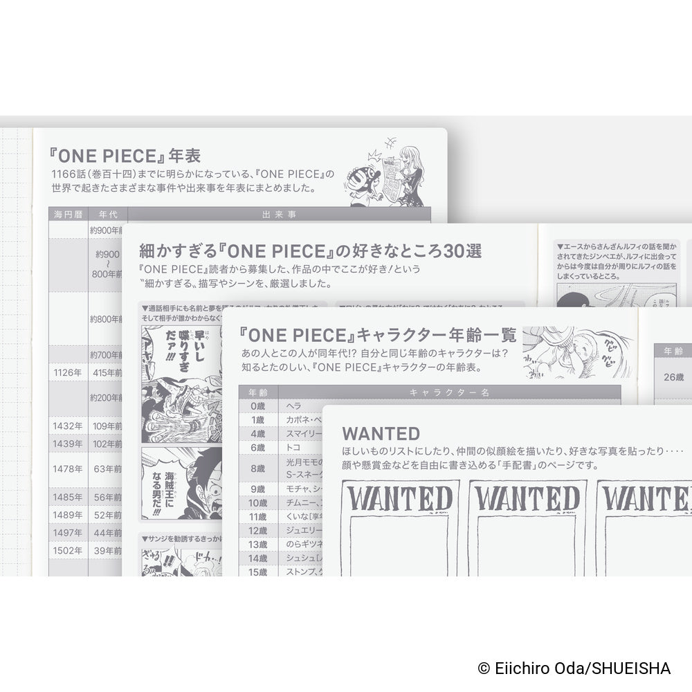 Hobonichi Techo 2027 Japanese Original Book - One Piece Edition