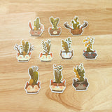 PaperaicaShop Woodland Plants Sticker Pack