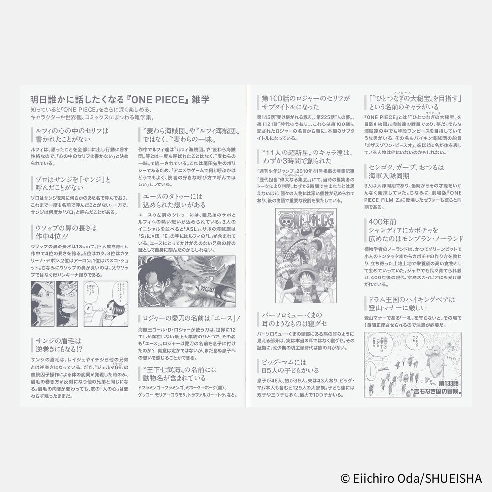 Hobonichi Techo 2026 Japanese Original Book - One Piece Edition (January Start)