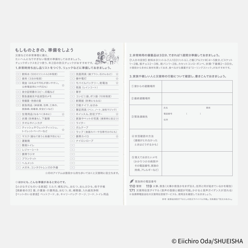 Hobonichi Techo 2026 Japanese Original Book - One Piece Edition (January Start)