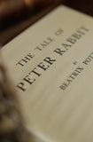 The Tale of Peter Rabbit Book Journal