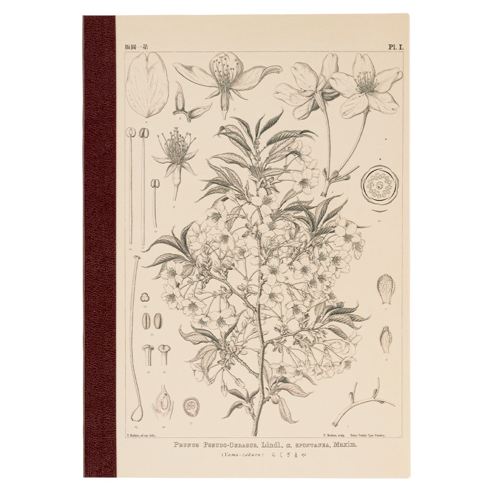 Hobonichi Graph Notebook A5 - Yamazakura