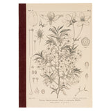 Hobonichi Graph Notebook A5 - Yamazakura