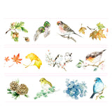 Bird Washi Tape including acorn, fall leaves, maple leaf, gingko leave, pine cone and etc. Perfect for your autumn spreads and card making.