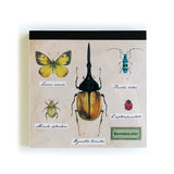 Entomology Memo Pad Insects Study Holic (100 sheets)