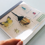 Entomology Memo Pad Insects Study Holic (100 sheets)