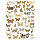 Butterflies 01 Essential Rub-Ons