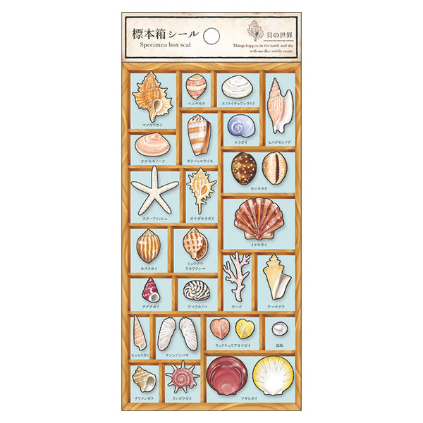 Mind Wave Seals Seashell World Specimen Sticker, made in Japan.  標本箱シール 80704 貝の世界