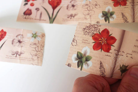 An Illustrated Guide Washi Tape