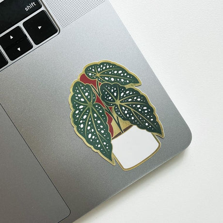 Begonia Sticker