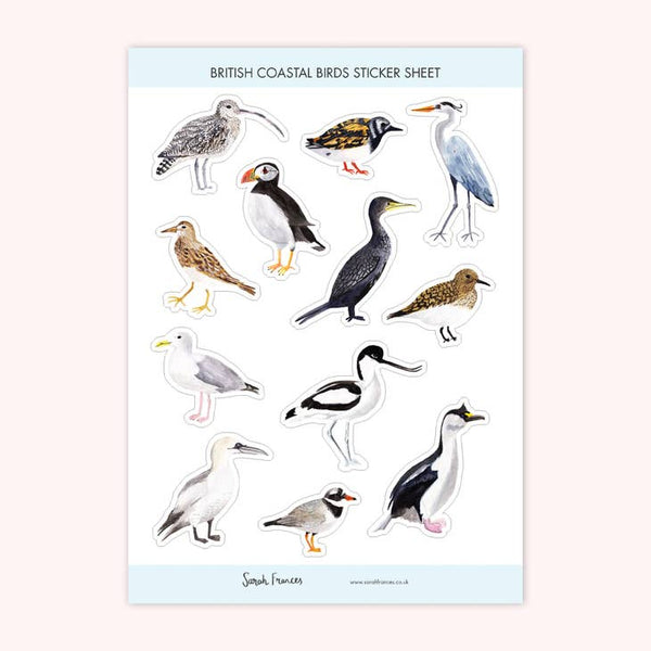 British Coastal Birds Stickers