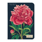Cavallini & Co. Mini Notebook Sets Botany 3/Pkg