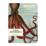 Sea Life Cavallini & Co. Mini Notebook Set 3/Pkg
