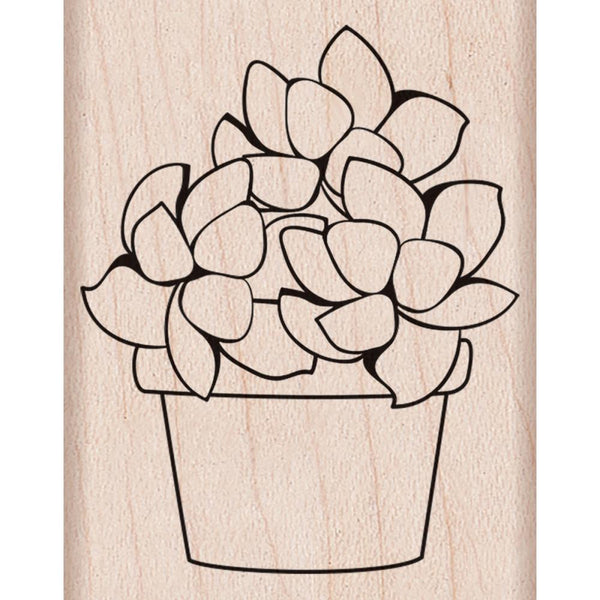 Small Potted Succulent Hero Arts Mounted Rubber Stamp