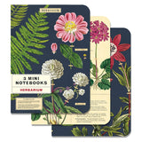 Cavallini & Co. Mini Notebook Sets Herbarium 3/Pkg