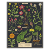 Cavallini & Co Herbarium 1000 Piece Puzzle