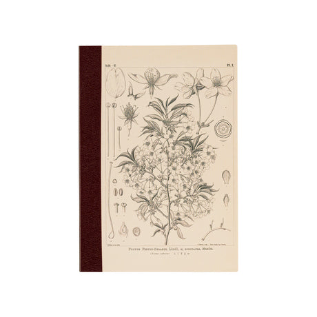 Cuaderno gráfico Hobonichi A6 - Yamazakura