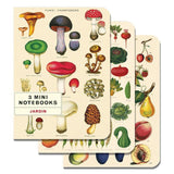 Cavallini &amp; Co. Mini Notebook Set- Fungi, Vegetables, Fruits