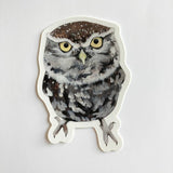 Pegatina de búho pequeño
