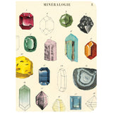 Cavallini & Co. Mini Notebook Sets Mineralogy 3/Pkg