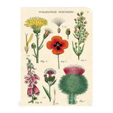 Cavallini & Co. Mini Notebook Sets Wildflowers 3/Pkg