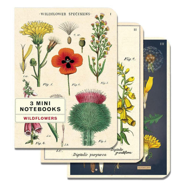 Cavallini & Co. Mini Notebook Sets Wildflowers 3/Pkg