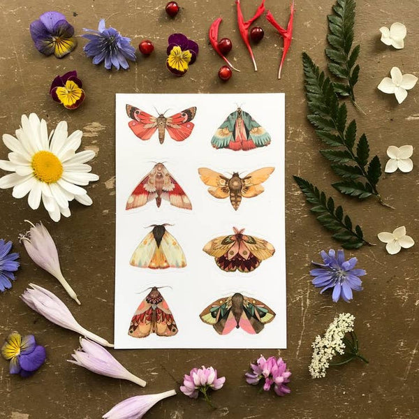 Polanshek of the Hills Moth Stickers