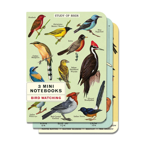 Bird Watching Mini Notebook Set 3/Pkg Cavallini & Co.