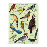 Bird Watching Mini Notebook Set 3/Pkg Cavallini & Co.