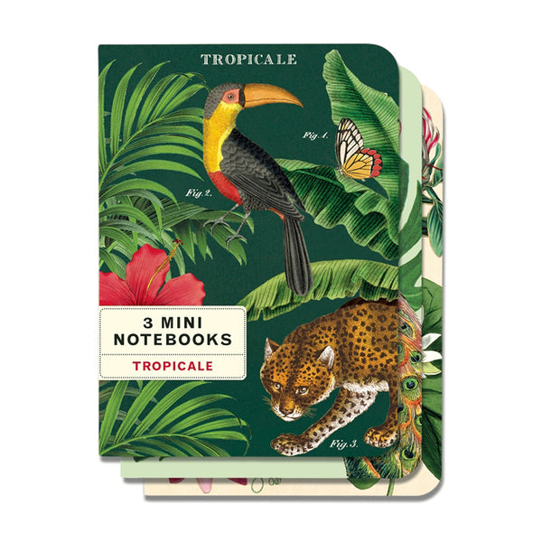 Tropicale Mini Notebook Set 3/Pkg Cavallini & Co.