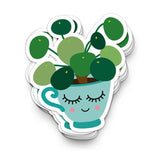 Pilea Peperomioides (Chinese Money Plant) Sticker
