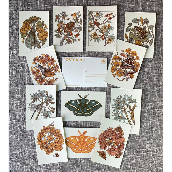 Postcard Set Mustard Beetle